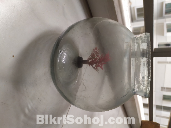 Round Fish Bowl Jaar